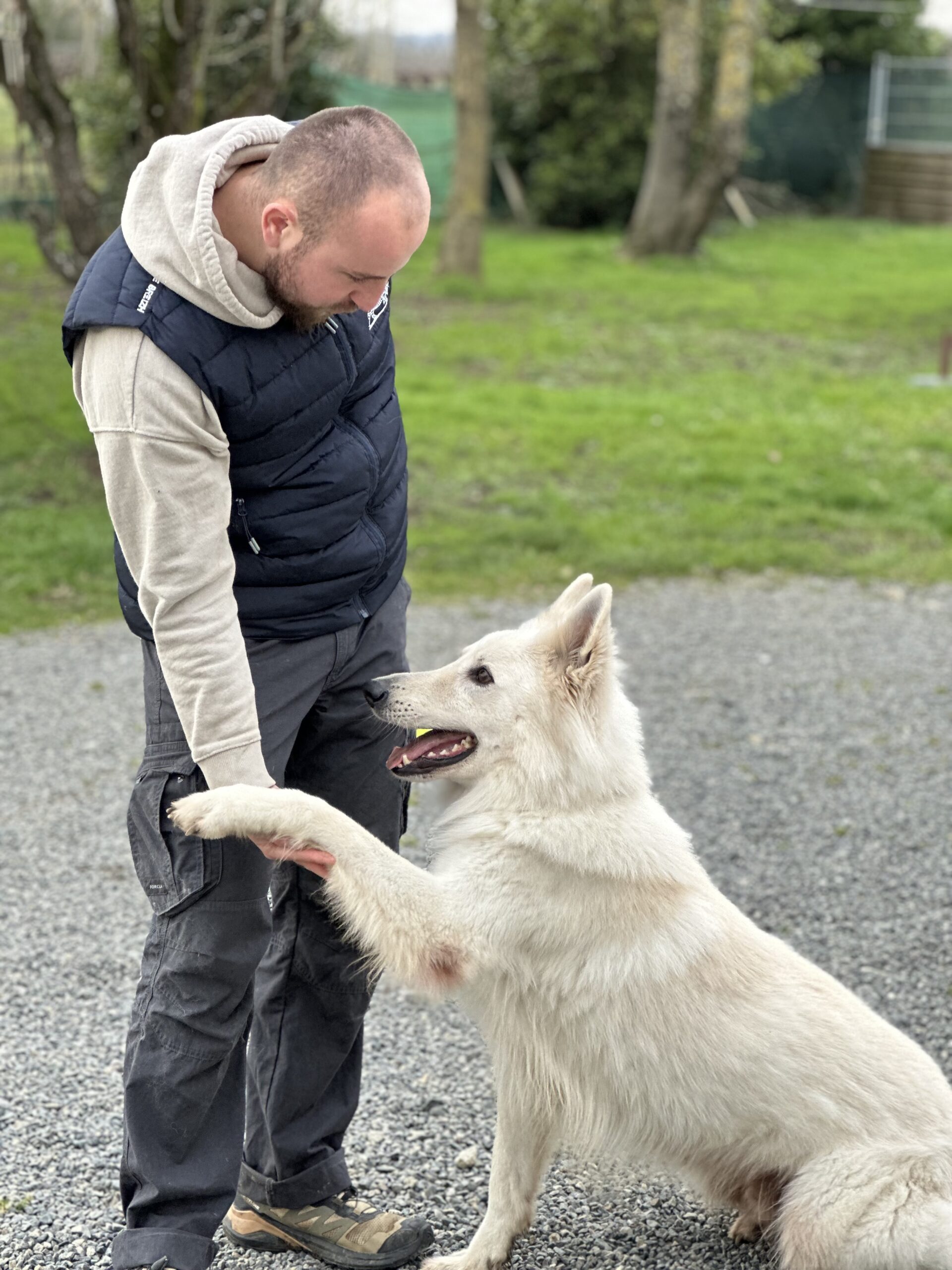 éducation canine de jeune chien à Saint-Nazaire en Loire Atlantique, 44